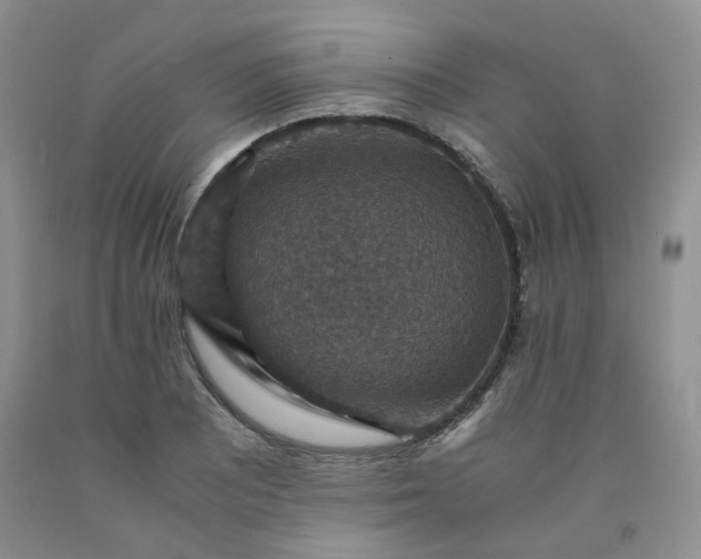 X0000091961081200709201338