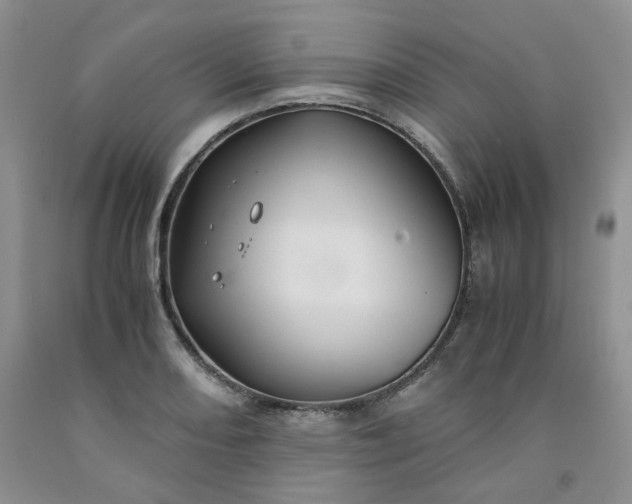 X0000091961082200709201338