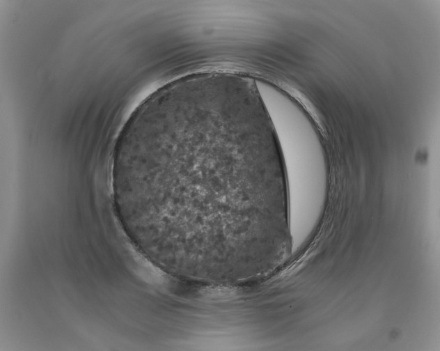 X0000091961083200709201338