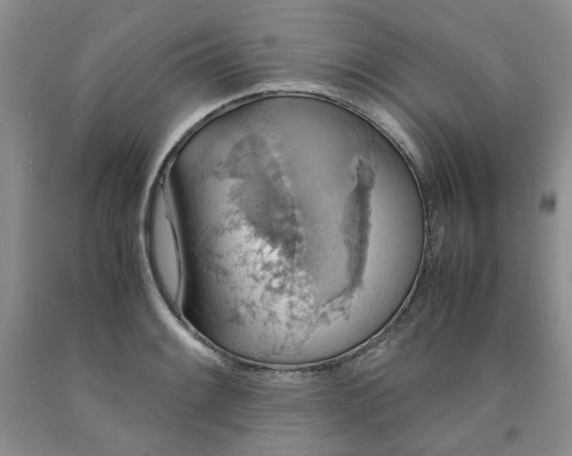 X0000091961084200709201338