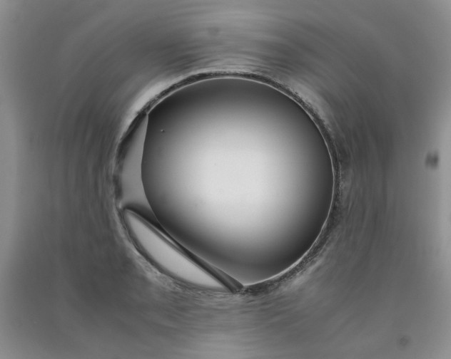 X0000091961085200709201338