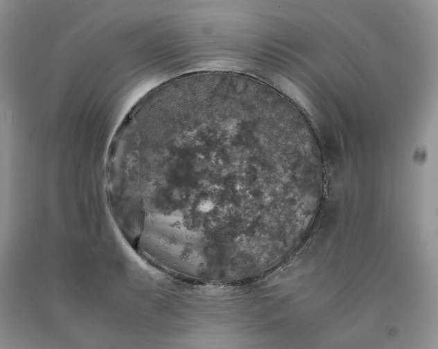 X0000091961087200709201338