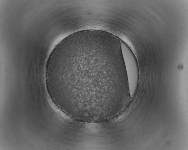 X0000091961088200709201338