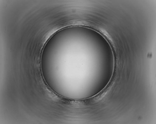 X0000091961089200709201338