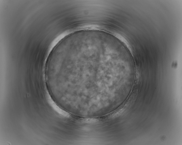 X0000091961090200709201338