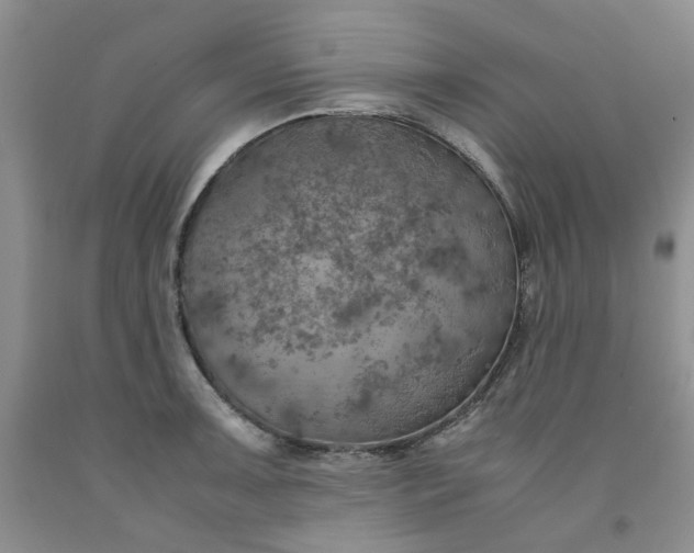 X0000091961091200709201338