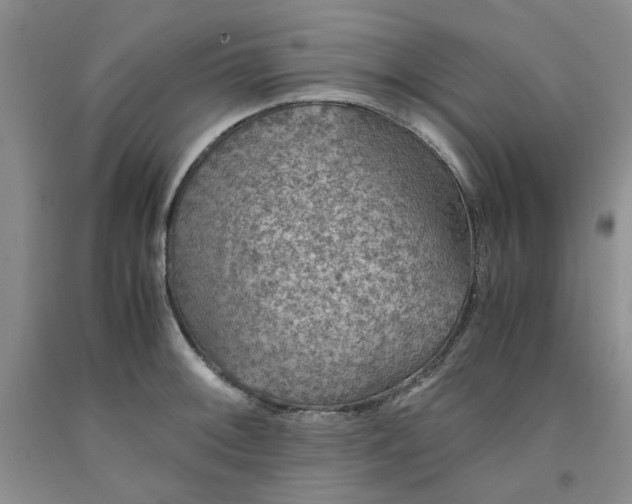 X0000091961092200709201338