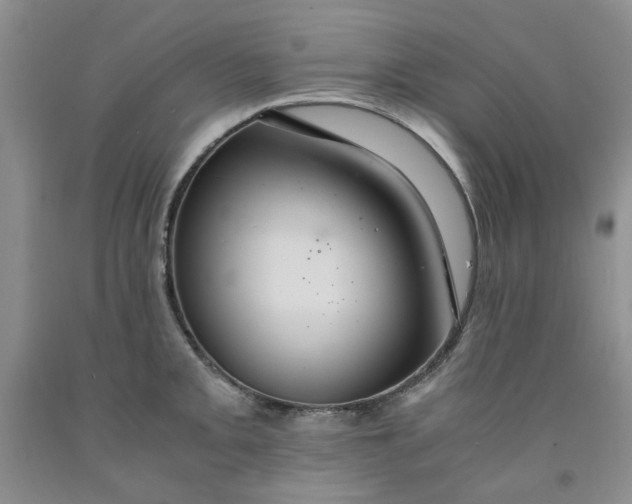 X0000091961093200709201338