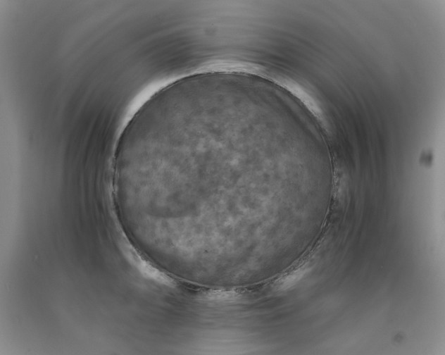 X0000091961094200709201338