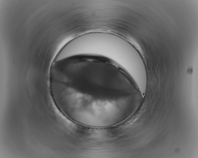 X0000091961095200709201338