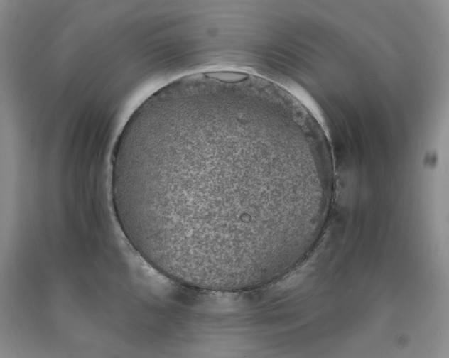 X0000091961096200709201338