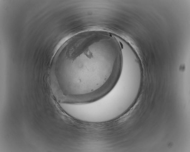 X0000091961097200709201338