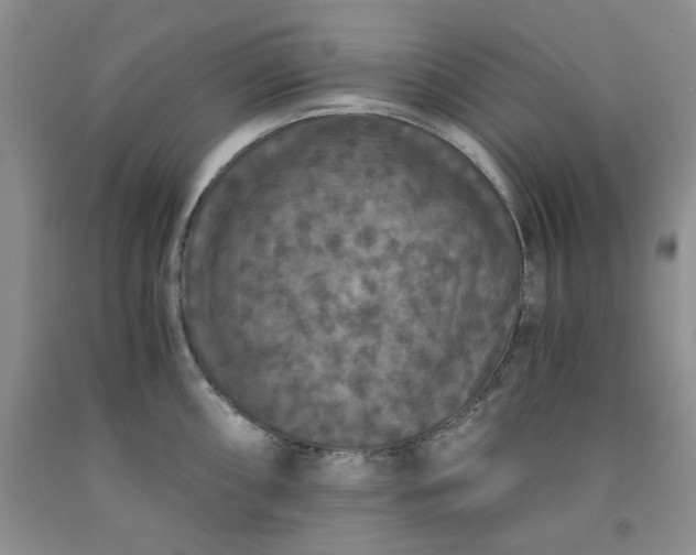 X0000091961098200709201338