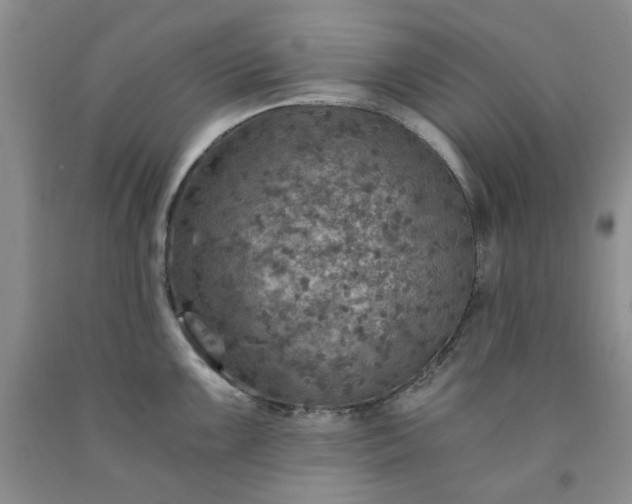 X0000091961099200709201338