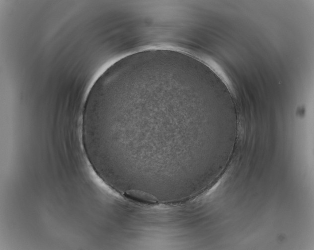 X0000091961100200709201338