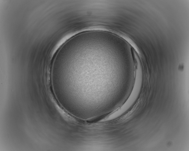 X0000091961101200709201338