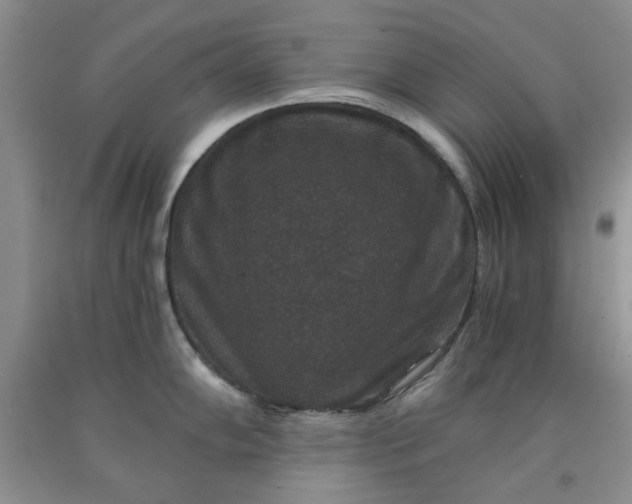 X0000091961102200709201338