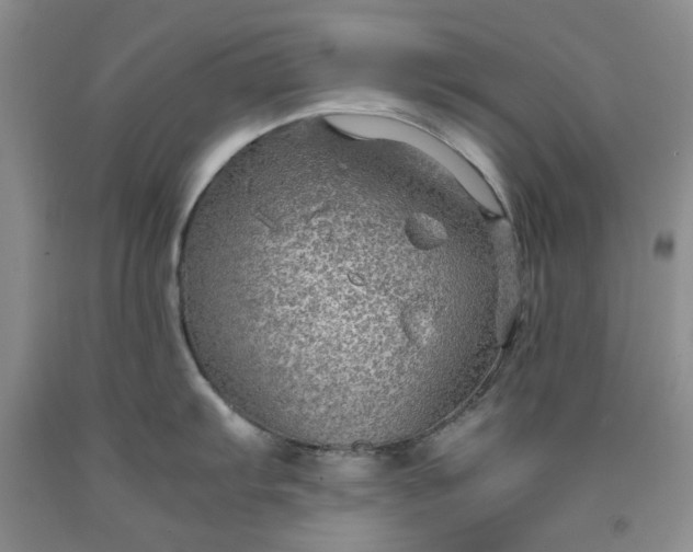 X0000091961103200709201338