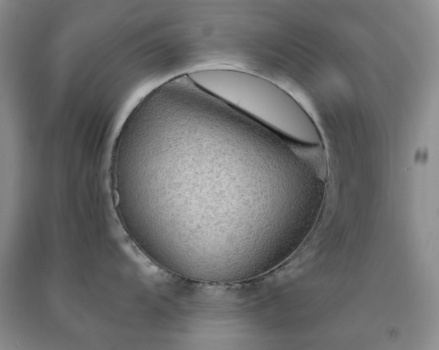 X0000091961104200709201338