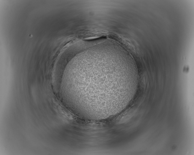 X0000091961105200709201338