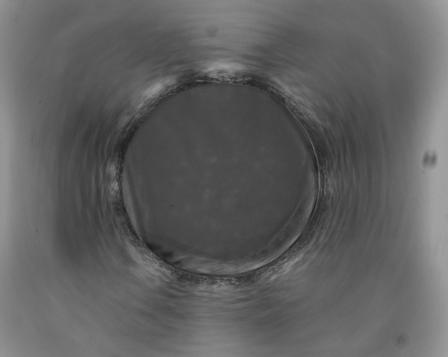 X0000091961106200709201338