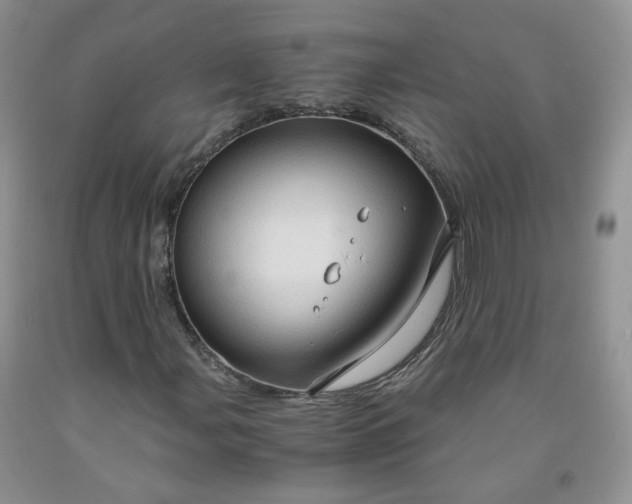 X0000091961107200709201338