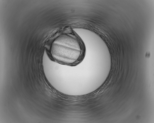 X0000091961108200709201338