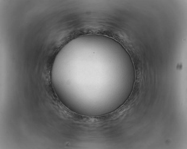 X0000091961109200709201338