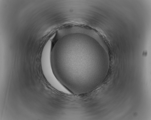 X0000091961110200709201338