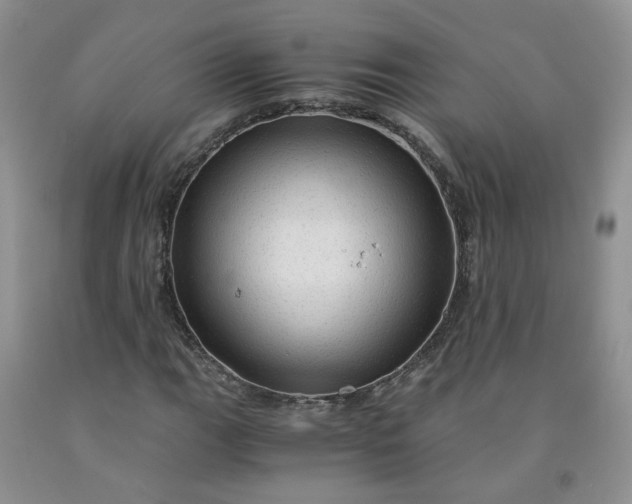 X0000091961111200709201338