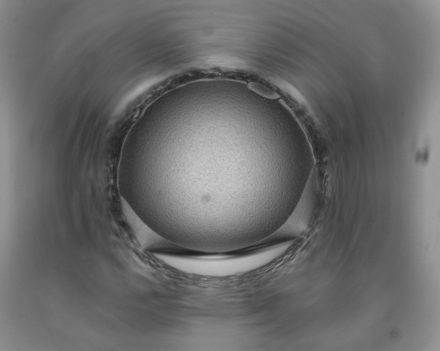 X0000091961112200709201338