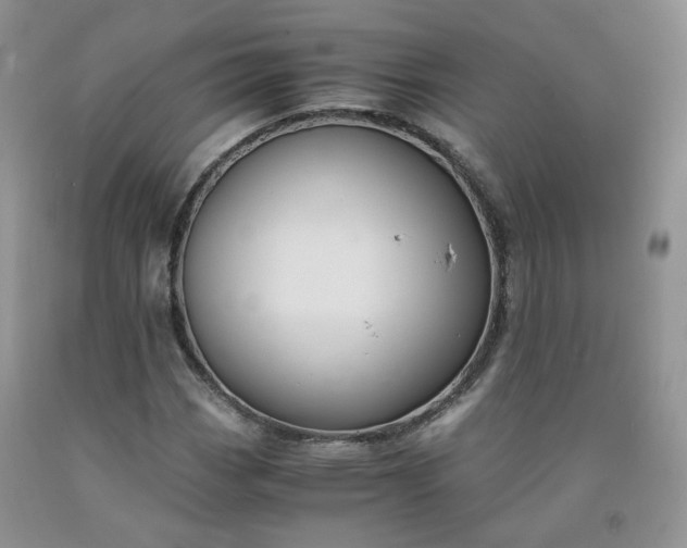 X0000091961113200709201338