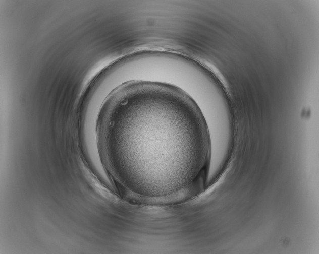 X0000091961114200709201338