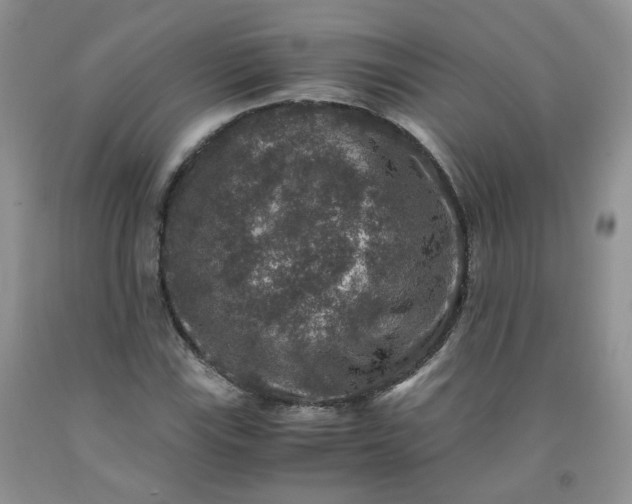 X0000091961115200709201338