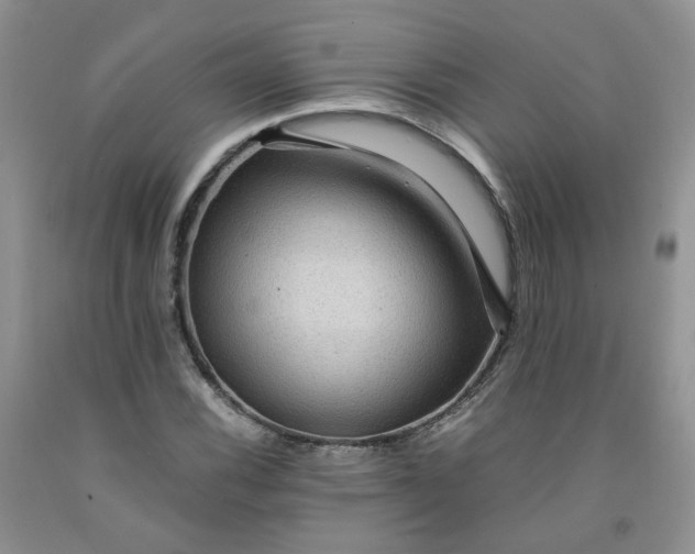 X0000091961116200709201338