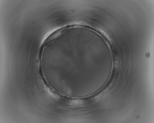 X0000091961117200709201338