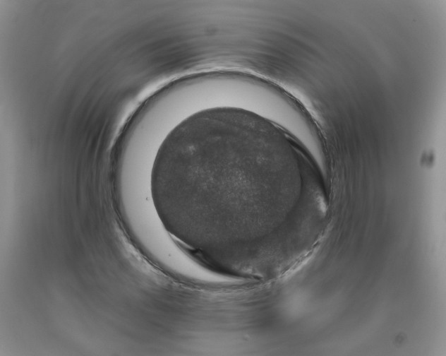 X0000091961118200709201338