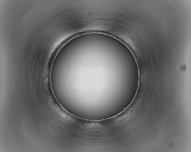 X0000091961119200709201338