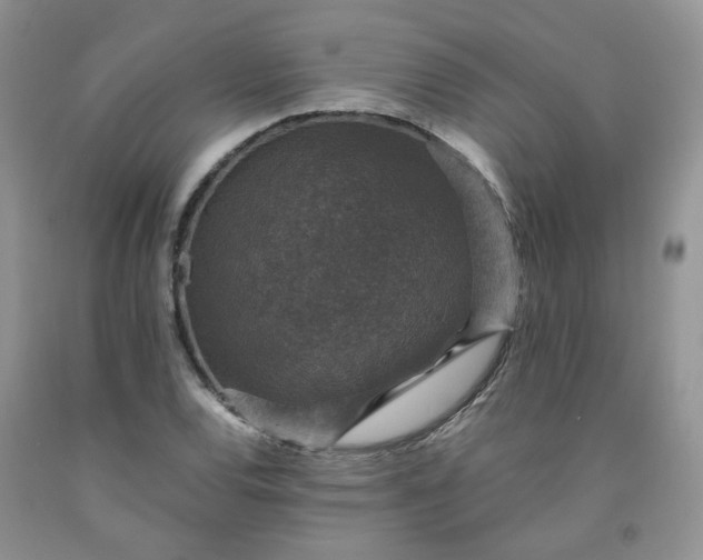 X0000091961120200709201338