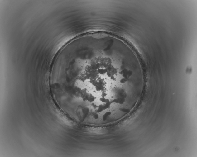 X0000091961121200709201338