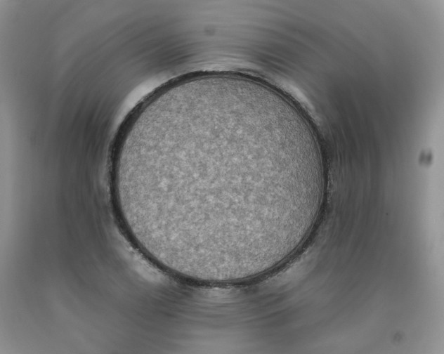 X0000091961122200709201338