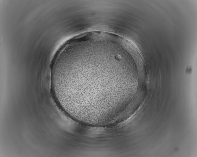 X0000091961123200709201338