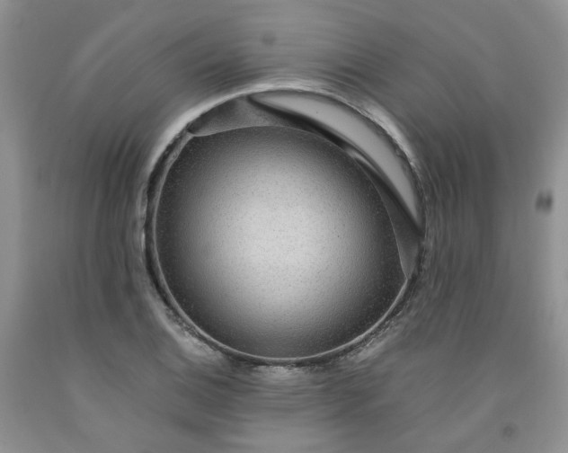 X0000091961124200709201338