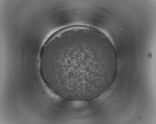 X0000091961125200709201338