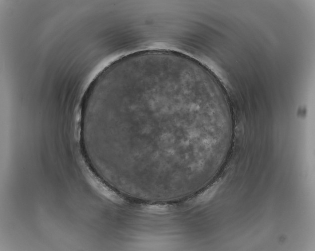 X0000091961126200709201338