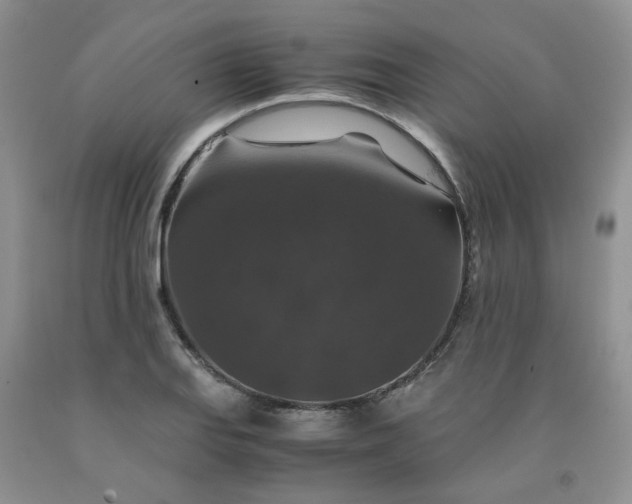 X0000091961127200709201338