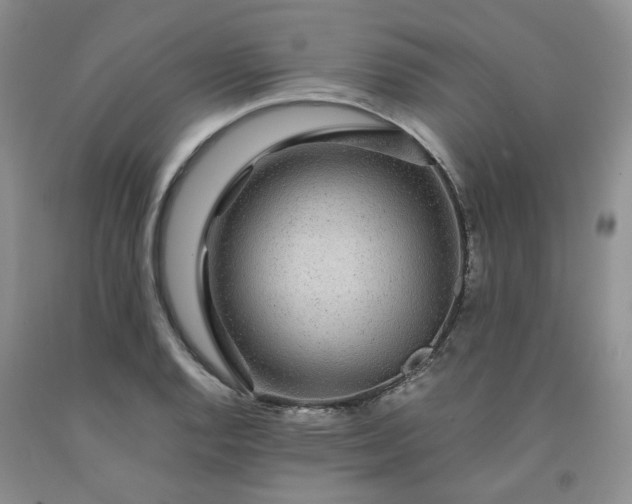 X0000091961128200709201338