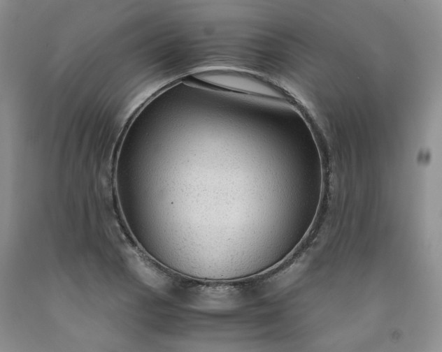 X0000091961129200709201338