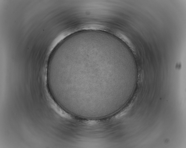 X0000091961130200709201338