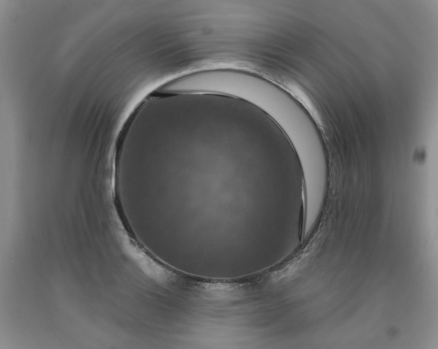 X0000091961132200709201338